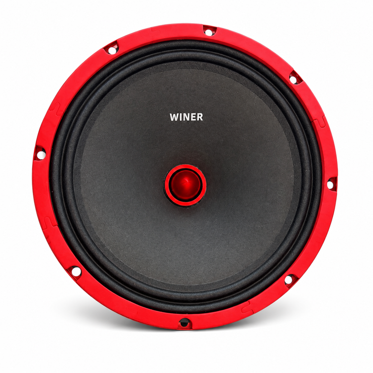 میدرنج 10 اینچ WINER GS-1020BR توان 400 وات